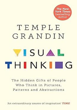 Visual Thinking