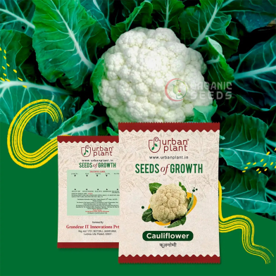 White Cauliflower Seeds image