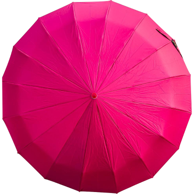 Rahman Windproof 16 Rib Auto Open Close Strong Frame Umbrella image