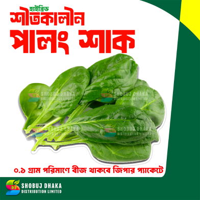 Winter Palong Shak Seeds 200 Pcs image