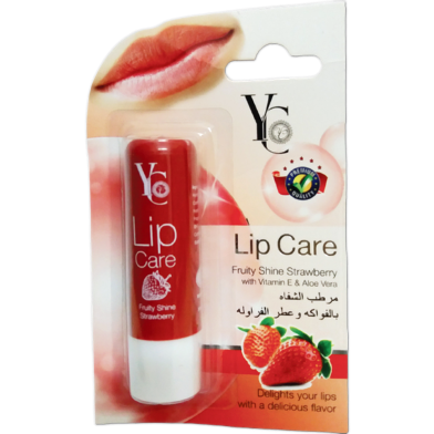 YC Fruity Shine Lip Care 3.8g – Vitamin E and Aloe Vera | LC2 image