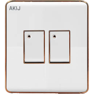  Akij Delight 2 Gang 1 Way Switch image