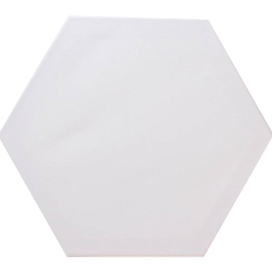  Hexagon Shape canvas 10 x 10 inch image