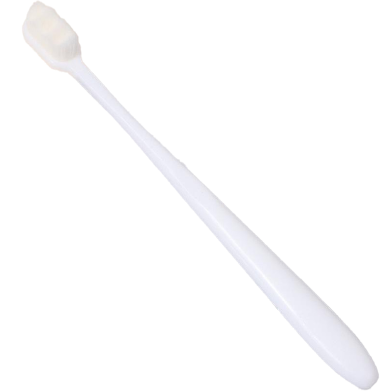 Source Image
