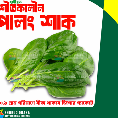 বারোমাসি পালং শাক বীজ ১ গ্রাম image