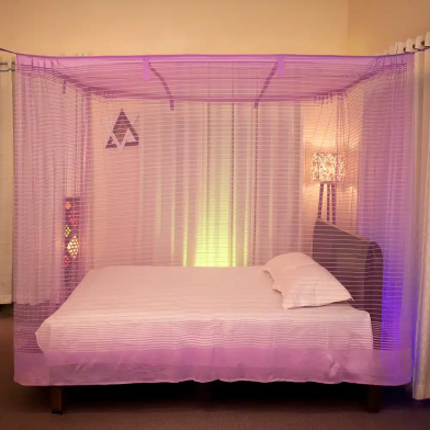 চেরিবি মশারি – বেগুনী image