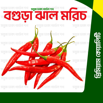 বারমাসি বগুড়া ঝাল মরিচ image