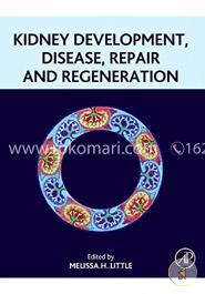 Kidney Development, Disease, Repair and Regeneration