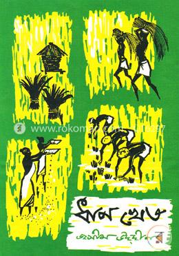 ধানখেত image