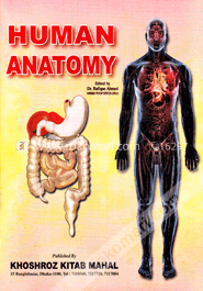 Human Anatomy image