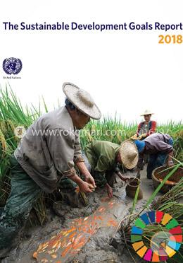 The sustainable development goals report 2018