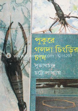 পুকুরে গলদা চিংড়ির চাষ image