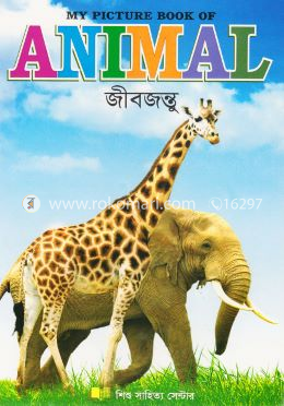 Animals