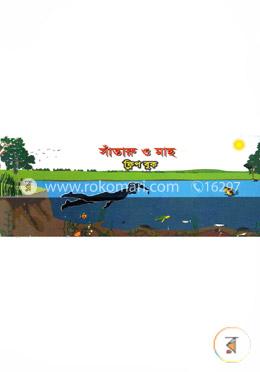 সাঁতারু ও মাছ (ফ্লিপ বুক) image