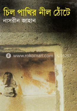 চিল পাখির নীল ঠোঁটে image