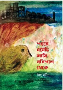 শহরে এসেছি আমি বরিশাল থেকে