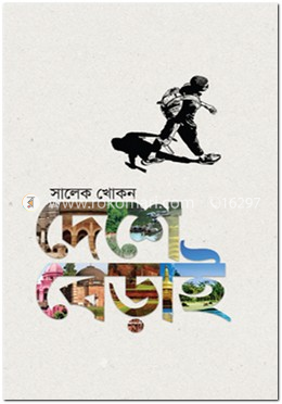 দেশে বেড়াই image