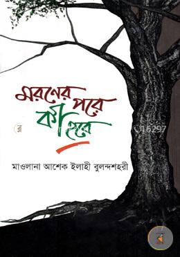 মরণের পরে কী হবে image