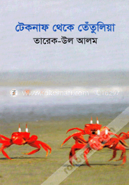 টেকনাফ থেকে তেঁতুলিয়া image