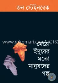 মেঠো ইঁদুরের মতো মানুষদের গল্প (পুরস্কারপ্রাপ্ত লেখকদের বই) image
