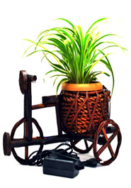 Ricksha Plant Tob With LED Light (Red) image