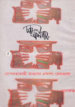 গোপনতাকামী আগুনের অনিবার্য রেখাগুলো image