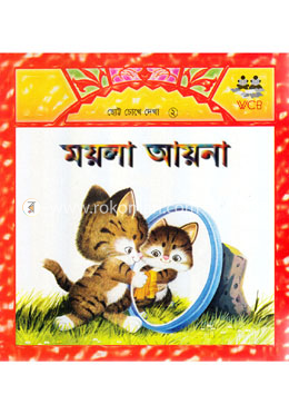 ময়লা আয়না image