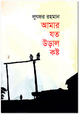 আমার যত উড়াল কষ্ট image