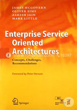 Enterprise Service Oriented Architectures