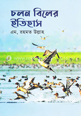চলন বিলের ইতিহাস image