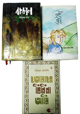 ৩ টি উপন্যাস
