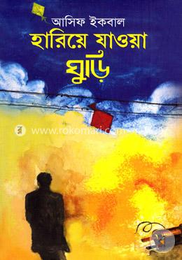 হারিয়ে যাওয়া ঘুড়ি image