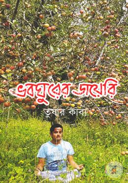 ভবঘুরের ডায়েরি image