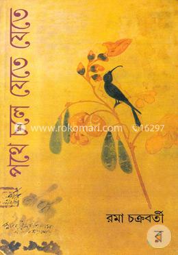 পথে চলে যেতে যেতে image