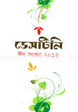 ডেসটিনি : ঈদ সংখ্যা ২০১২