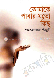 তোমাকে পাবার মতো কিছু