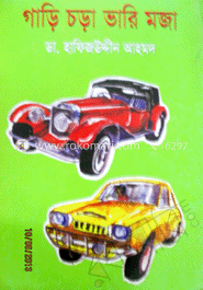 গাড়ি চড়া ভারি মজা 