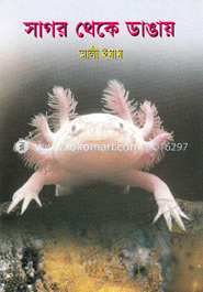 সাগর থেকে ডাঙায়