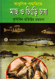 আধুনিক পদ্ধতিতে মাছ ও চিংড়ি চাষ