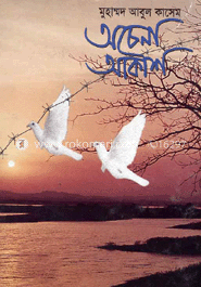 অচেনা আকাশ 