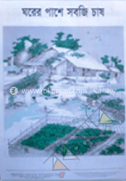 ঘরের পাশে সবজি চাষ