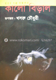 কালো বিড়াল image