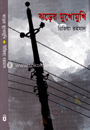 ঝড়ের মুখোমুখি image