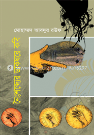 নৈঃশব্দের ডাকঘরে কবি