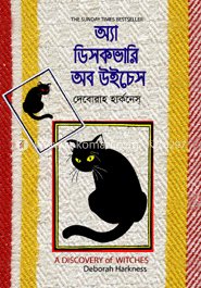 অ্যা ডিসকভারি অব উইচেস image