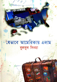 যেভাবে আমেরিকায় এলাম