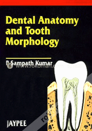 Dental Anatomy and Tooth Morphology (Paperback)