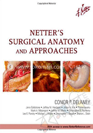 Netters Surgical Anatomy And Approaches 