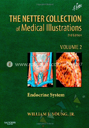 The Netter Collection Of Medical Illustrations: The Endocrine System: Volume 2