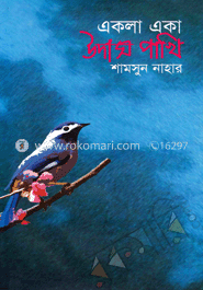 একলা একা উদাস পাখি 